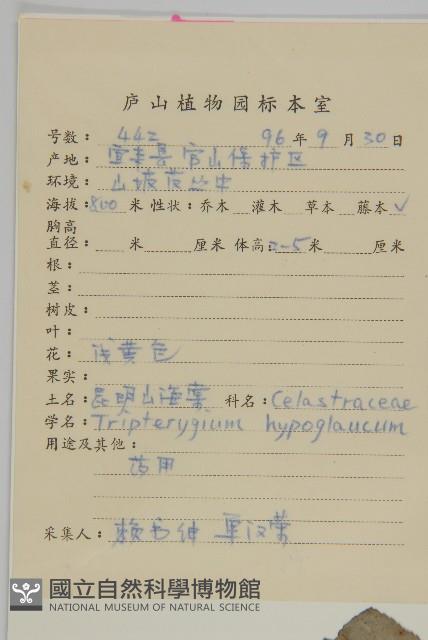 Accession Number:S060471 Collection Image, Figure 2, Total 3 Figures