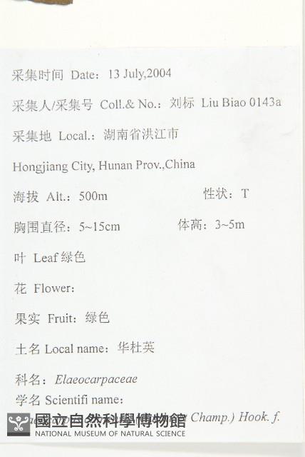 華杜英藏品圖，第2張