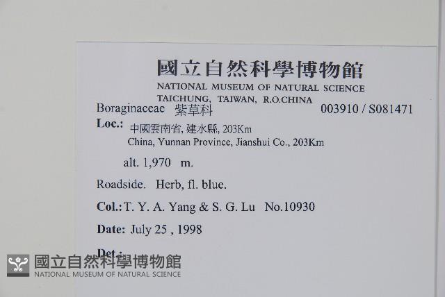 登錄號:S081471藏品圖，第2張