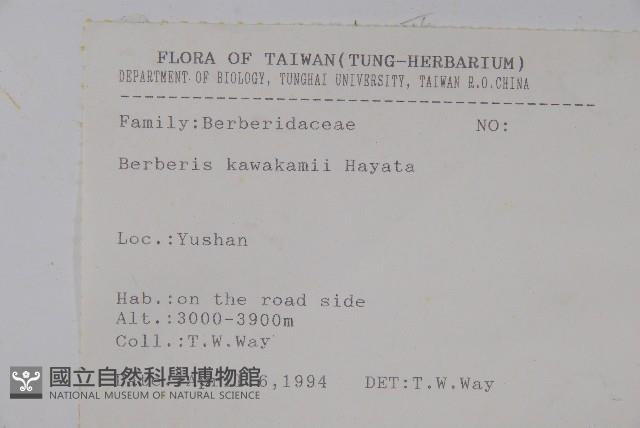 臺灣小蘗藏品圖，第2張