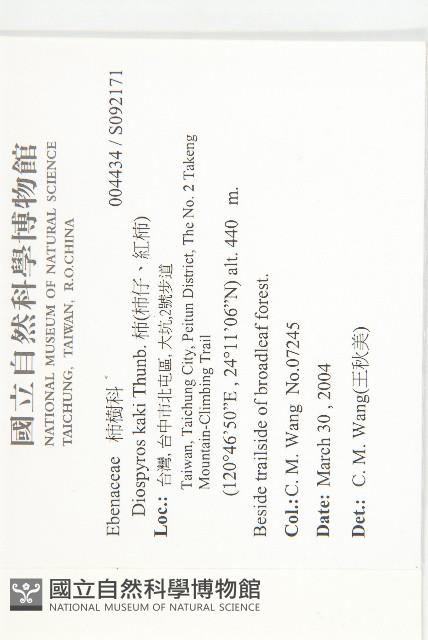 柿、柿仔、紅柿藏品圖，第2張