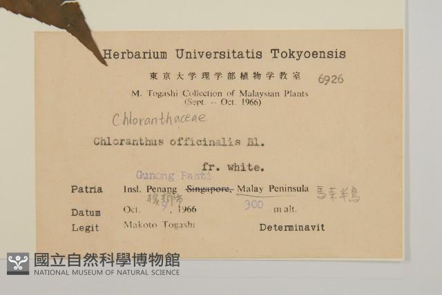 登錄號:S082171藏品圖，第2張