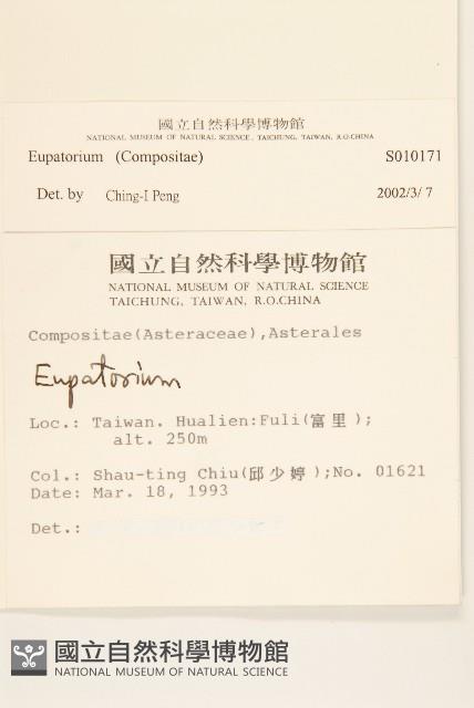 登錄號:S010171藏品圖，第2張