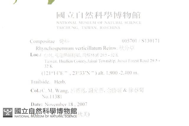 秋分草藏品圖，第2張