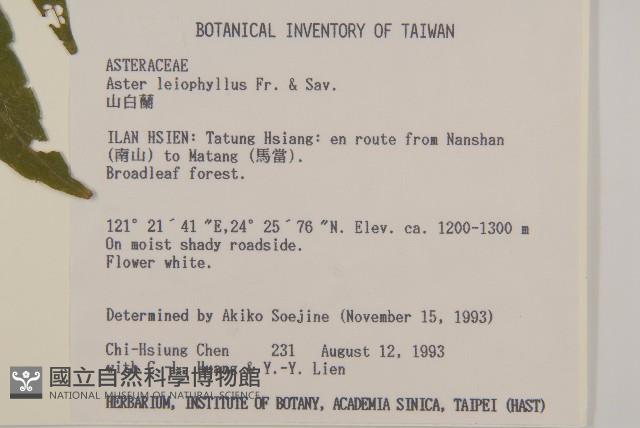 山白蘭藏品圖，第2張