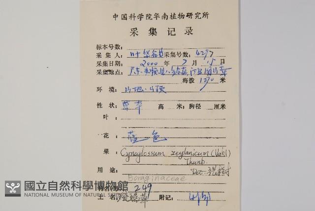 琉璃草藏品圖，第2張