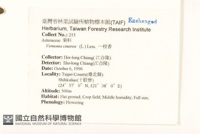 一枝香藏品圖，第2張
