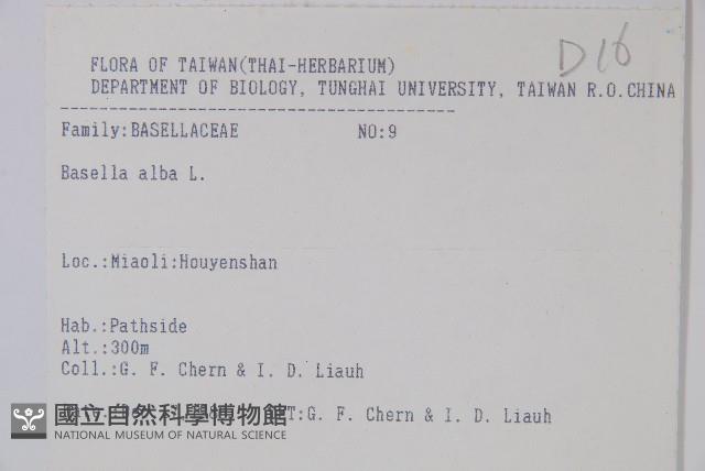 落葵藏品圖，第2張