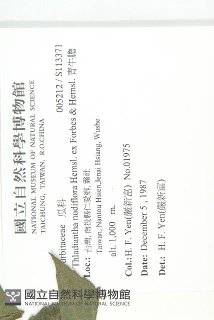 青牛膽藏品圖，第2張