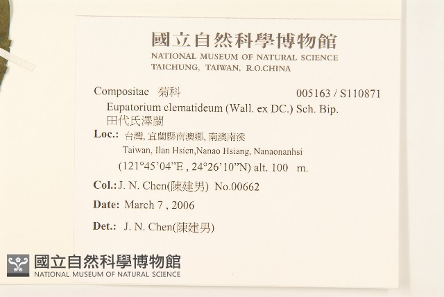 田代氏澤蘭藏品圖，第2張