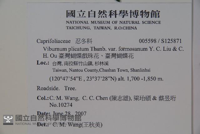 臺灣蝴蝶戲珠花、臺灣蝴蝶花藏品圖，第2張