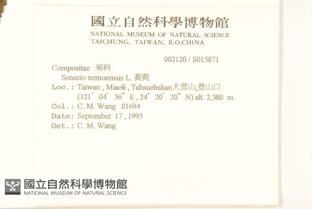 黃菀藏品圖，第2張