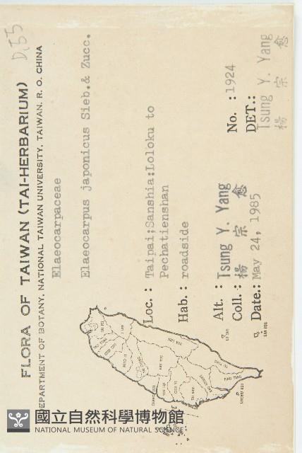 薯豆藏品圖，第2張