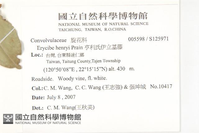 亨利氏伊立基藤藏品圖，第2張