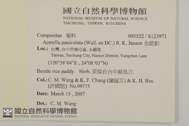 金鈕釦藏品圖，第2張