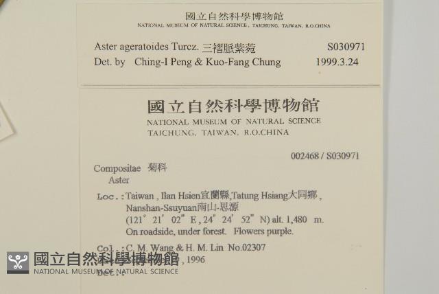 倒地鈴藏品圖，第2張