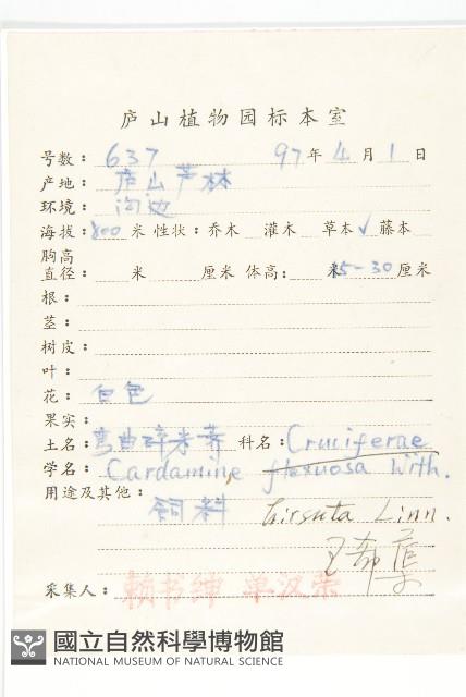 碎米薺藏品圖，第2張