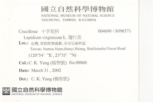 Bird's pepper, Birginia pepperweed Collection Image, Figure 2, Total 2 Figures