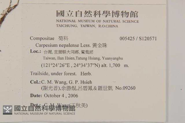 黃金珠藏品圖，第2張