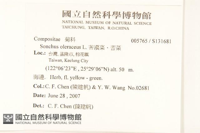 苦滇菜、苦菜藏品圖，第2張