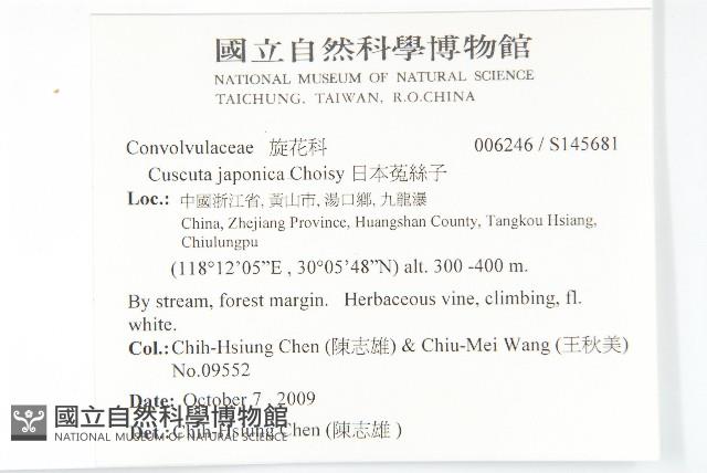 Accession Number:S145681 Collection Image, Figure 2, Total 2 Figures