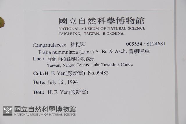 普剌特草藏品圖，第2張