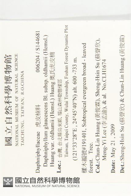 奧氏虎皮楠藏品圖，第2張