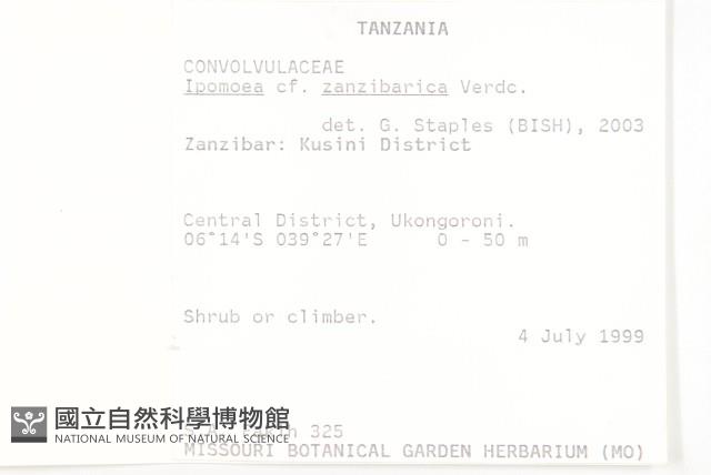 登錄號:S093681藏品圖，第2張
