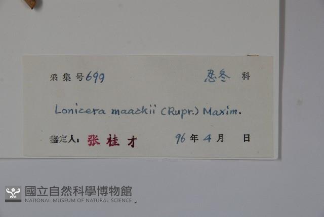 金銀忍冬藏品圖，第2張