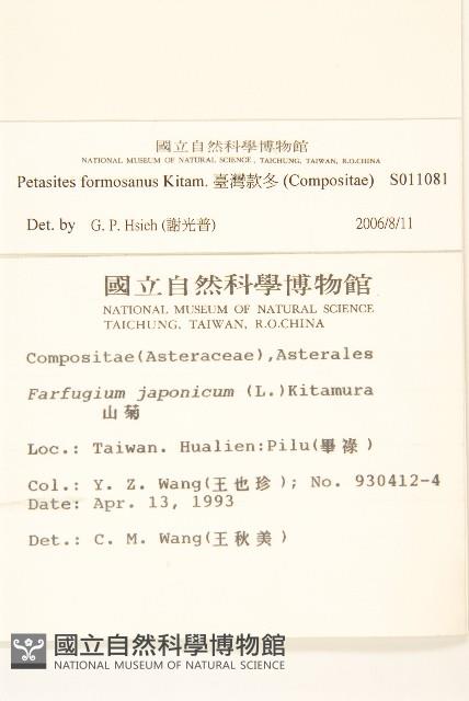 臺灣款冬藏品圖，第2張