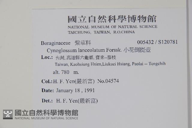 小花倒提壺藏品圖，第2張