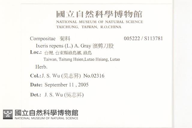 濱剪刀股藏品圖，第2張