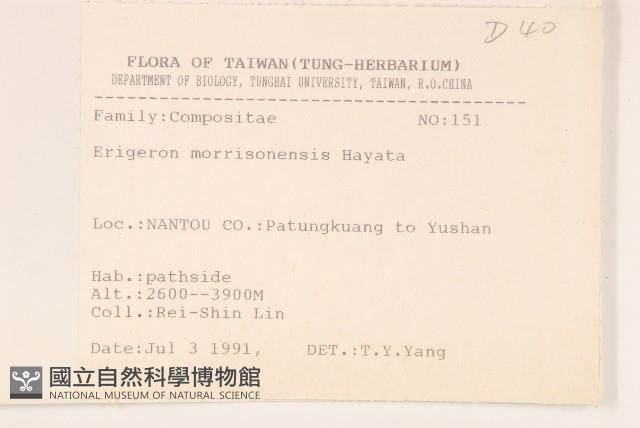 玉山飛蓬藏品圖，第2張