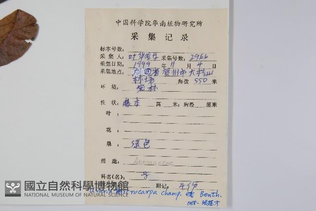 紫玉盤藏品圖，第2張