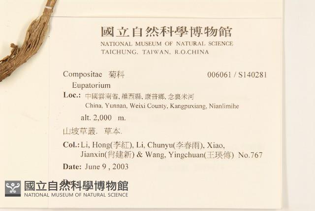 登錄號:S140281藏品圖，第2張