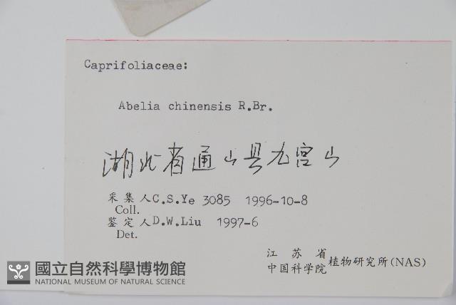 臺灣糯米條藏品圖，第2張