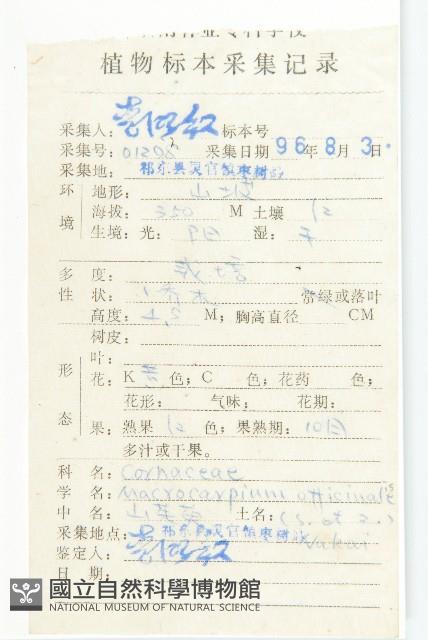 山茱萸藏品圖，第2張