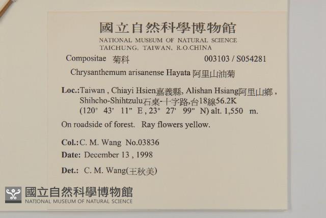 阿里山油菊藏品圖，第2張