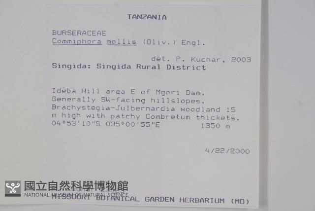 登錄號:S094281藏品圖，第2張