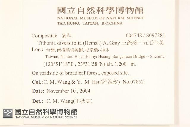 王爺葵、五瓜金英藏品圖，第2張