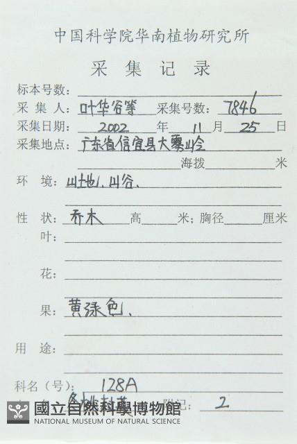 冬桃藏品圖，第2張