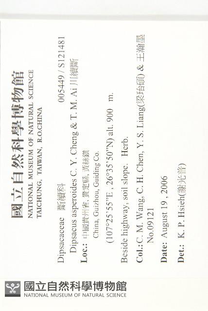 川續斷藏品圖，第2張