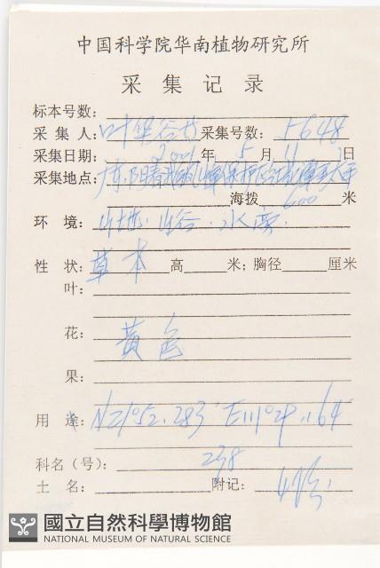 蟛蜞菊藏品圖，第2張