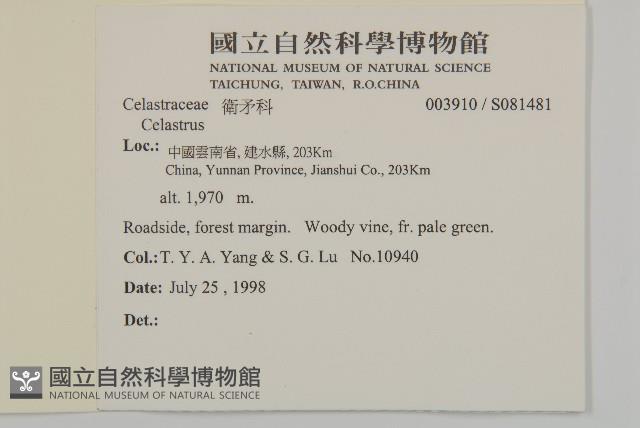 登錄號:S081481藏品圖，第2張