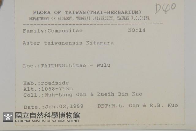 臺灣馬蘭藏品圖，第2張