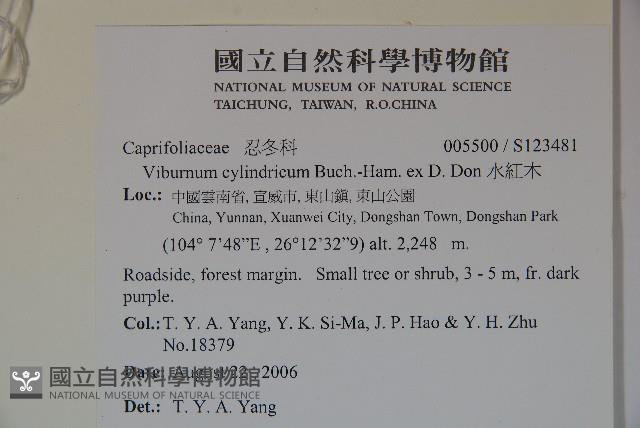 水紅木藏品圖，第2張