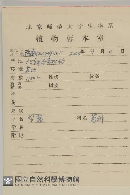 紫菀藏品圖，第2張