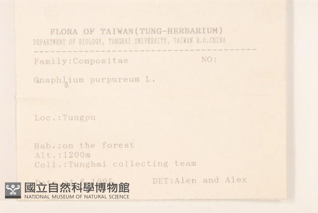 鼠麴舅藏品圖，第2張