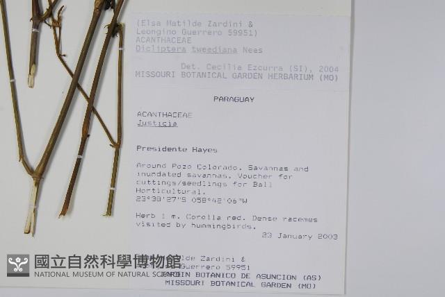 登錄號:S113181藏品圖，第2張