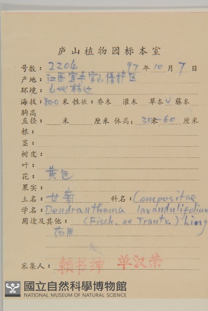 姜菱菊藏品圖，第2張